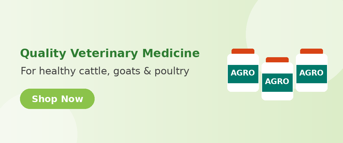 Quality Veterinary Medicine