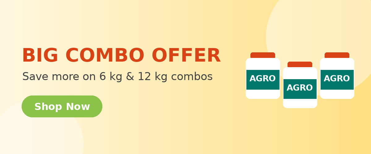 Big Combo Offer